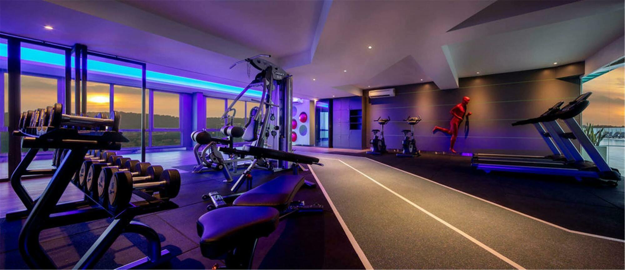 ดอร์เซต ฮาร์ตามัส กัวลาลัมเปอร์ Hotel ภายนอก รูปภาพ The gym at the 108 Pancrasset